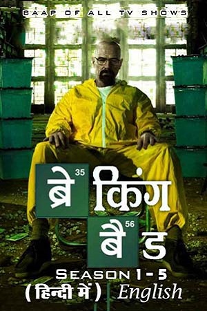 Download [18+] Breaking Bad (Season 1 – 5) Complete Dual Audio [Hindi Dubbed ORG + English] Series 480p | 720p | 1080p BluRay