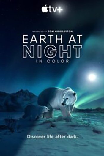 Download Earth at Night in Color (Season 1 – 2) Complete Dual-Audio {Hindi-English} Apple TV+ Original 1080p | 720p WEB-DL