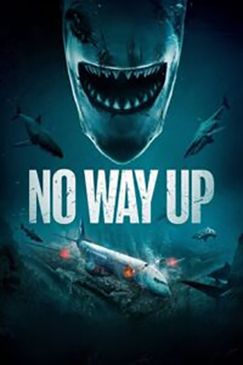 Download No Way Up (2024) Dual Audio [Hindi + English] WeB-DL 480p [380MB] | 720p [850MB] | 1080p [2GB]